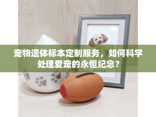 宠物遗体标本定制服务，如何科学处理爱宠的永恒纪念？