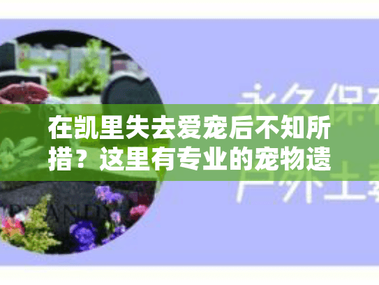 在凯里失去爱宠后不知所措？这里有专业的宠物遗体处理指南