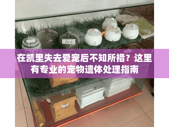 在凯里失去爱宠后不知所措？这里有专业的宠物遗体处理指南