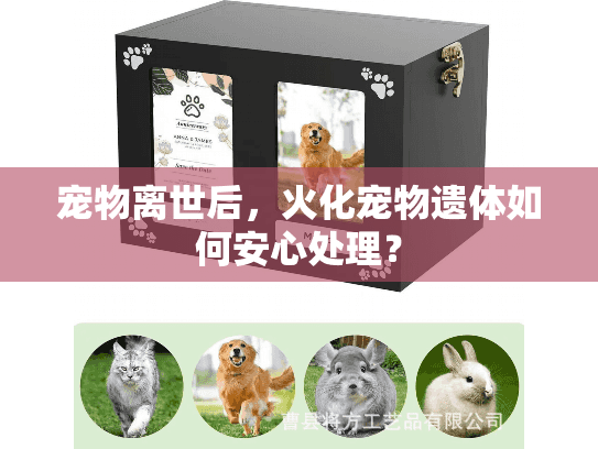 宠物离世后，火化宠物遗体如何安心处理？