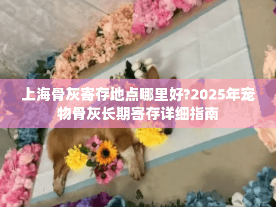 上海骨灰寄存地点哪里好?2025年宠物骨灰长期寄存详细指南