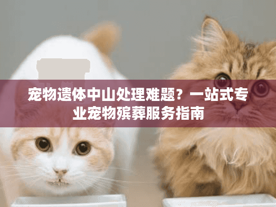 宠物遗体中山处理难题？一站式专业宠物殡葬服务指南