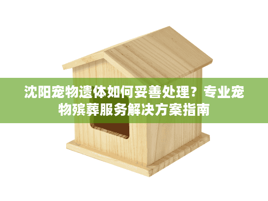 沈阳宠物遗体如何妥善处理？专业宠物殡葬服务解决方案指南