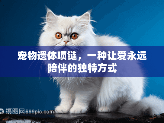 宠物遗体项链，一种让爱永远陪伴的独特方式