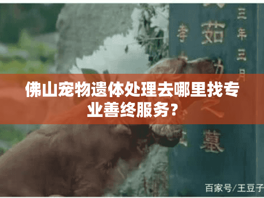 佛山宠物遗体处理去哪里找专业善终服务？