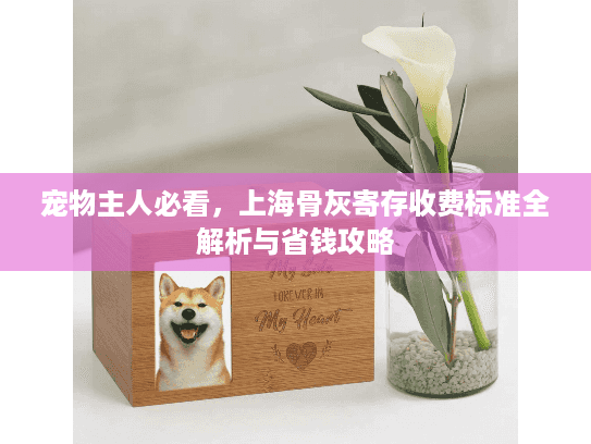 宠物主人必看，上海骨灰寄存收费标准全解析与省钱攻略