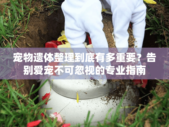 宠物遗体整理到底有多重要？告别爱宠不可忽视的专业指南