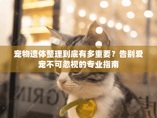 宠物遗体整理到底有多重要？告别爱宠不可忽视的专业指南