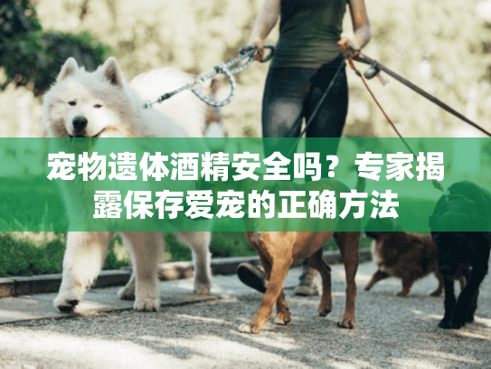 专家揭露保存爱宠的正确方法图片
