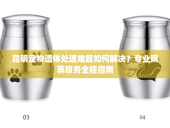 昆明宠物遗体处理难题如何解决？专业殡葬服务全程指南