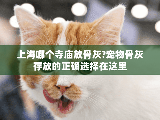 上海哪个寺庙放骨灰?宠物骨灰存放的正确选择在这里