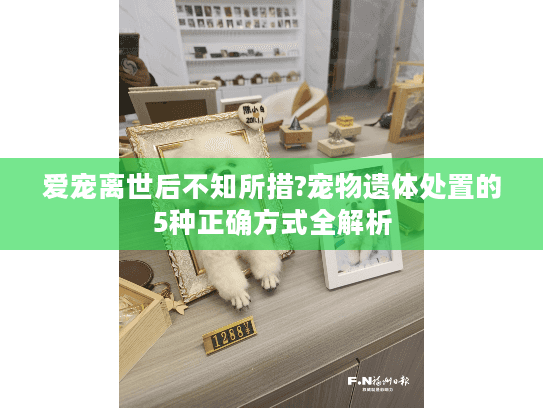爱宠离世后不知所措?宠物遗体处置的5种正确方式全解析