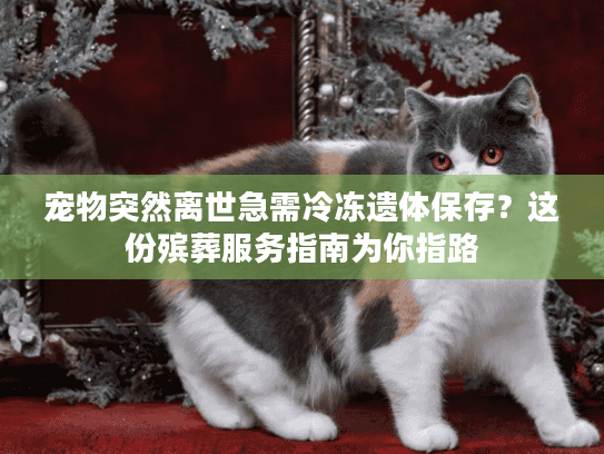 宠物突然离世急需冷冻遗体保存？这份殡葬服务指南为你指路