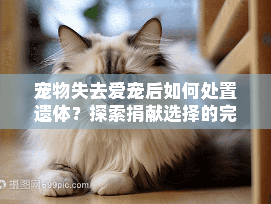 宠物失去爱宠后如何处置遗体？探索捐献选择的完整指南