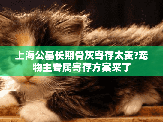 上海公墓长期骨灰寄存太贵?宠物主专属寄存方案来了