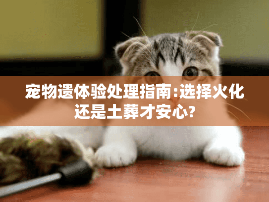宠物遗体验处理指南:选择火化还是土葬才安心?