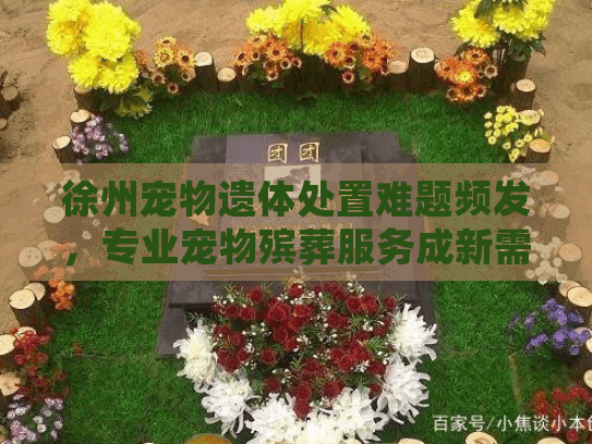 徐州宠物遗体处置难题频发，专业宠物殡葬服务成新需求
