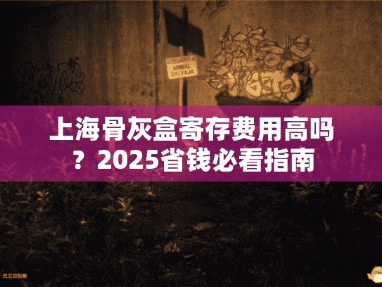 上海骨灰盒寄存费用高吗？2025省钱必看指南