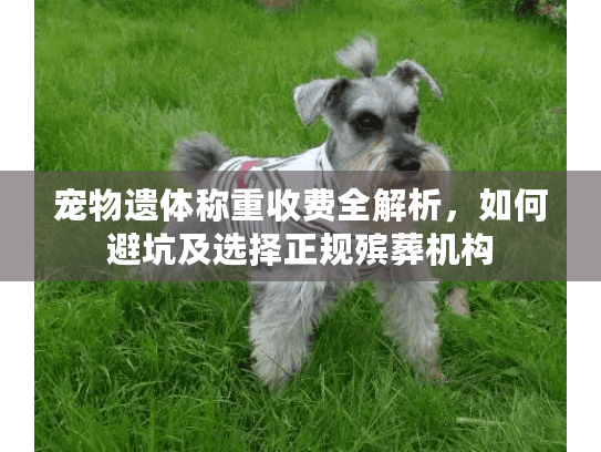 宠物遗体称重收费全解析，如何避坑及选择正规殡葬机构