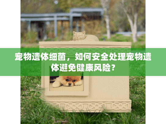 宠物遗体细菌，如何安全处理宠物遗体避免健康风险？