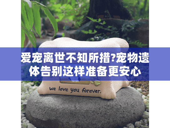 爱宠离世不知所措?宠物遗体告别这样准备更安心