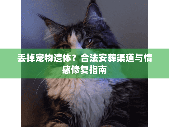 丢掉宠物遗体？合法安葬渠道与情感修复指南