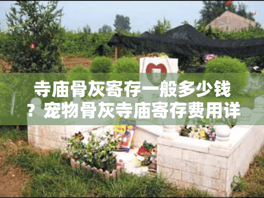 寺庙骨灰寄存一般多少钱？宠物骨灰寺庙寄存费用详解