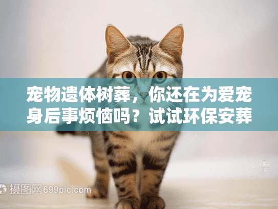 宠物遗体树葬，你还在为爱宠身后事烦恼吗？试试环保安葬新方式