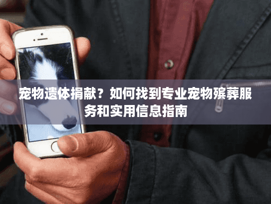 宠物遗体捐献？如何找到专业宠物殡葬服务和实用信息指南