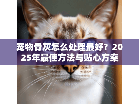 宠物骨灰怎么处理最好？2025年最佳方法与贴心方案