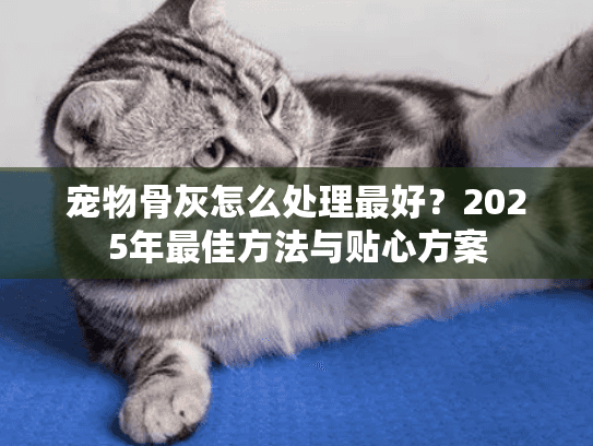 宠物骨灰怎么处理最好？2025年最佳方法与贴心方案