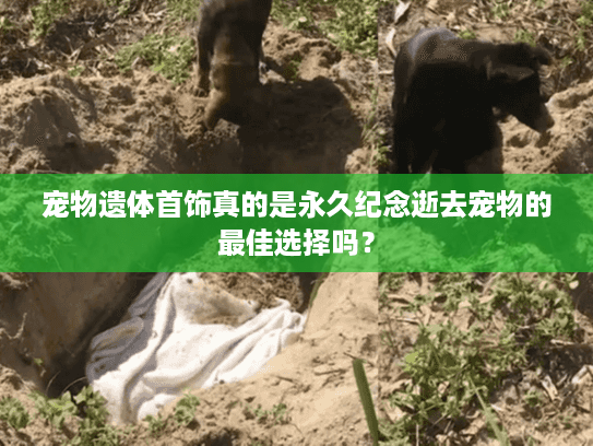 宠物遗体首饰真的是永久纪念逝去宠物的最佳选择吗？