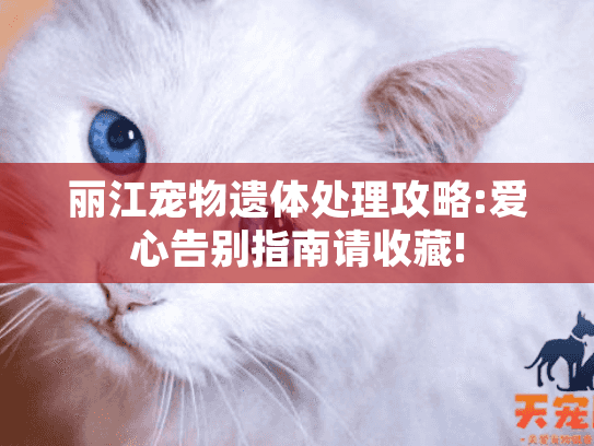 丽江宠物遗体处理攻略:爱心告别指南请收藏!