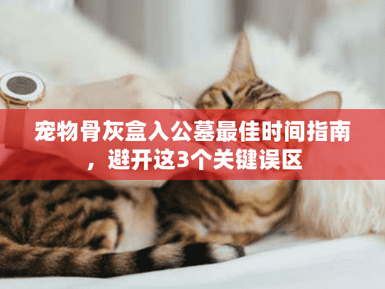 宠物骨灰盒入公墓最佳时间指南，避开这3个关键误区