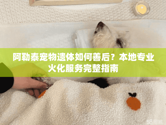 阿勒泰宠物遗体如何善后？本地专业火化服务完整指南