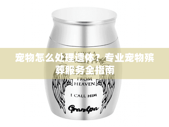宠物怎么处理遗体？专业宠物殡葬服务全指南