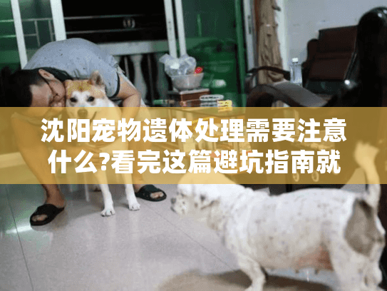 沈阳宠物遗体处理需要注意什么?看完这篇避坑指南就懂了