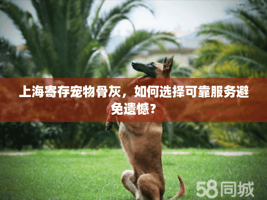 上海寄存宠物骨灰，如何选择可靠服务避免遗憾？