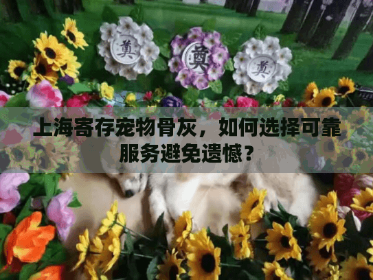 上海寄存宠物骨灰，如何选择可靠服务避免遗憾？