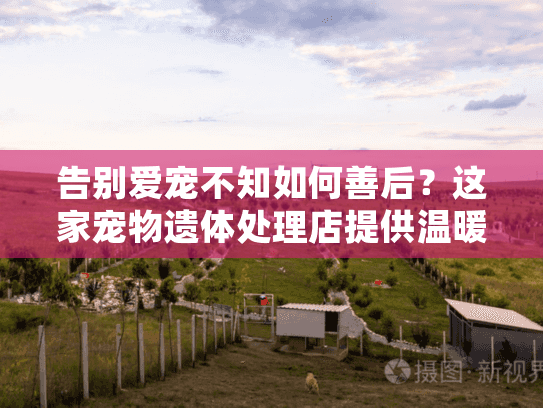 告别爱宠不知如何善后？这家宠物遗体处理店提供温暖专业全程指导