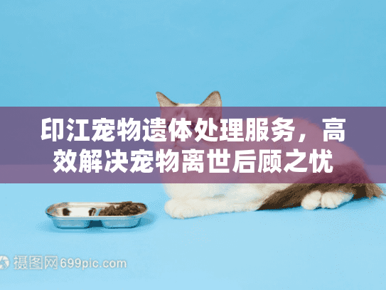 印江宠物遗体处理服务，高效解决宠物离世后顾之忧