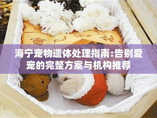 海宁宠物遗体处理指南:告别爱宠的完整方案与机构推荐