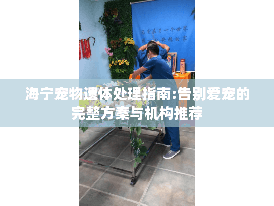 海宁宠物遗体处理指南:告别爱宠的完整方案与机构推荐