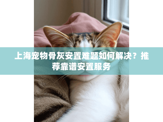 上海宠物骨灰安置难题如何解决？推荐靠谱安置服务