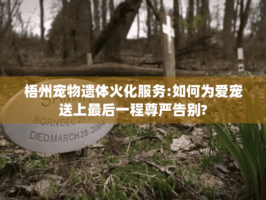 梧州宠物遗体火化服务:如何为爱宠送上最后一程尊严告别?