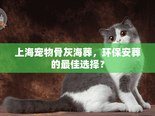 上海宠物骨灰海葬，环保安葬的最佳选择？