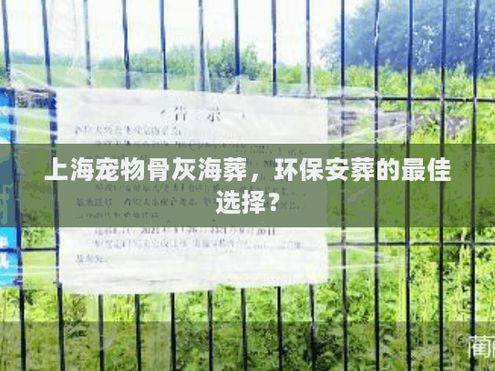 上海宠物骨灰海葬，环保安葬的最佳选择？