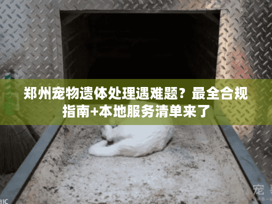 郑州宠物遗体处理遇难题？最全合规指南+本地服务清单来了