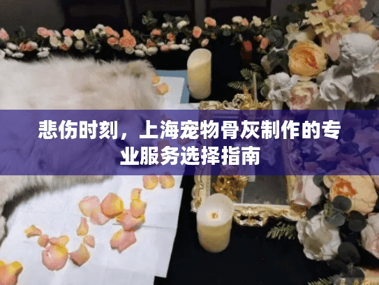 悲伤时刻，上海宠物骨灰制作的专业服务选择指南