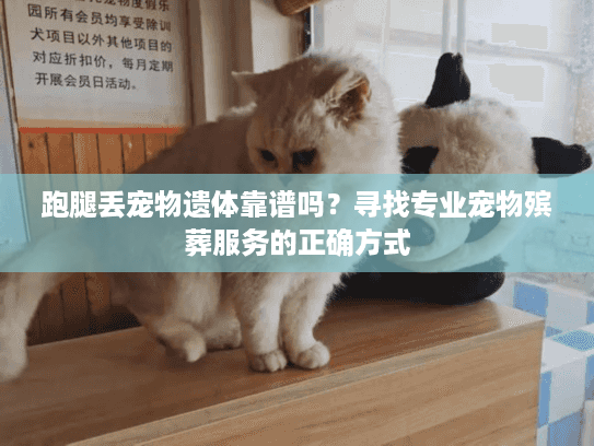 跑腿丢宠物遗体靠谱吗？寻找专业宠物殡葬服务的正确方式